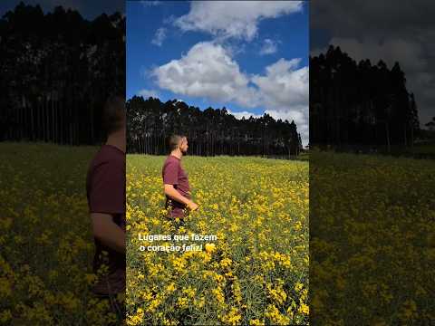 💛 Lugares que Fazem o Coração Feliz 🌼