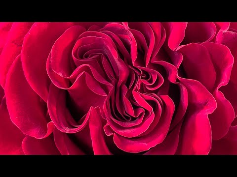 Leanne's Post Valentine's Assessment