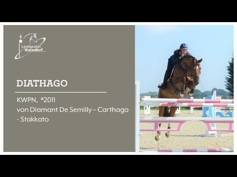 DIATHAGO in Brakel in S platziert,April 2019