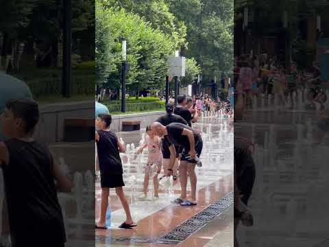 Vardavar 2024 (In Yerevan)