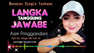 Download lagu LANGKA TANGGUNG JAWABE AAM PRINGGANDANI Bocoran Ta... mp3