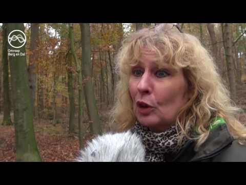 Omroep Berg en Dal TV - Aflevering 135 (28-11-2016)