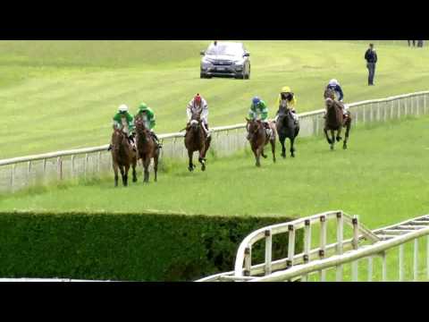 Frauenfeld/12.06.2016/95 Grosse Steeple Chase