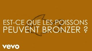 Les questions Lyrics English Translation