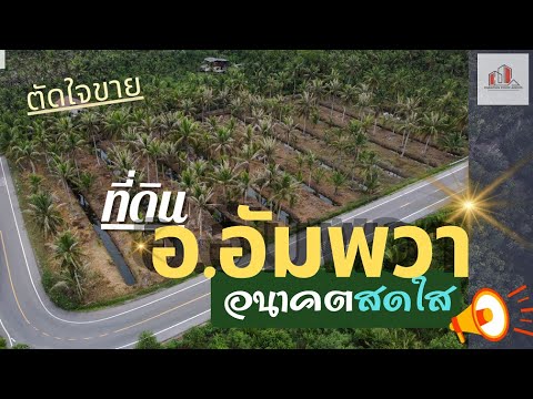 ขายที่ดิน อ.อัมพวา สมุทรสงคราม หน้ากว้างติดถนน 2 ด้าน แปลงสวย 5-2-8 ตรว ฟรีโอน – รูปที่ 2