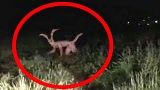 Most SCARY Mythical Creatures Ever!