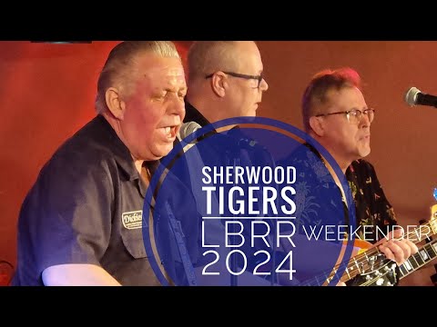 Sherwood Tigers, Ladybug Rockn Roll Weekender 2024