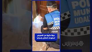 عبر خيط من السيليكون.. شرطة إسبانيا تحذر من حيلة يستخدمها اللصوص للتأكد من خلو المنازل قبل سرقتها thumbnail