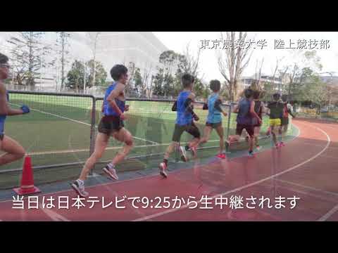 箱根駅伝予選会応援ムービー