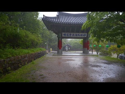 A temple in the forest where the wind and rain are blowing. ASMR for Deep Relaxation and Sleeping.