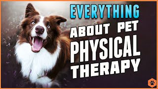 The Professional Pet Physical Therapist: An Interview with Whitney Mitchell