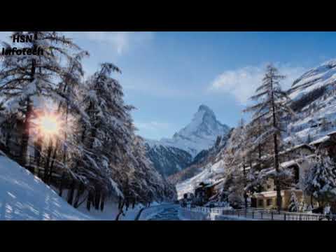 Dragan Vučič-Odi odi sega