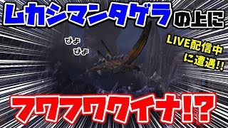 【MHW】Part77:現在HR204 金冠集めラストスパート！(ムカシマンタゲラの上に乗るフワフワクイナ発見!)モンハン復帰勢がMHWの世界を遊び尽くす！参加大歓迎！【PC/Steam版】