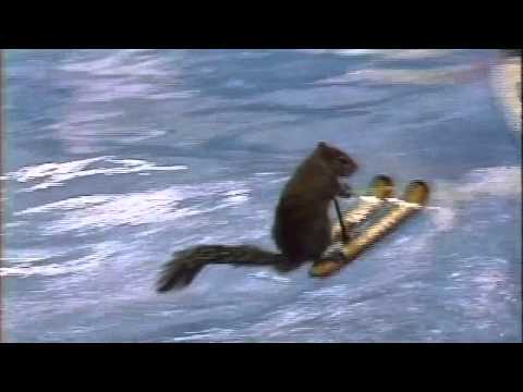 Nutty The Squirrel Can Waterski - Anchorman: The Legend of Ron Burgundy (2004)