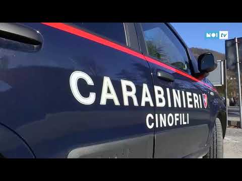 Arrestata donna che nascondeva in casa mezzo chilo di cocaina