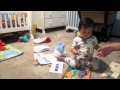 Baby Can Read
