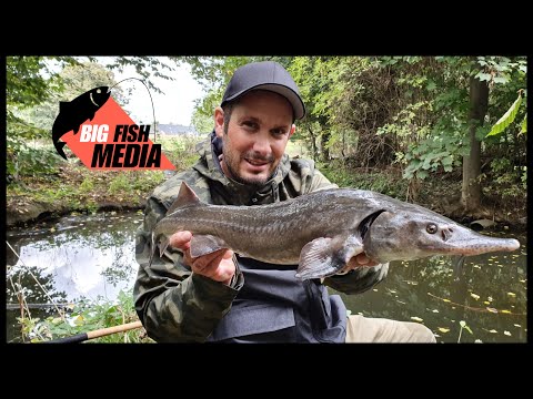 Viel Wind am Kleinstgewässer - eine urige Überraschung für Christian