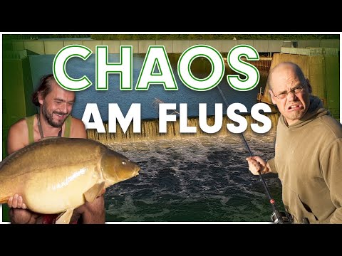 Chaos am Fluss - Mit Volker Seuss - Teil2 | Karpfenangeln |