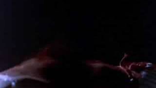 Xtro 2: The Second Encounter (1991) Video