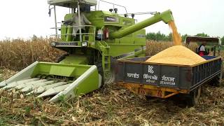 DASMESH Maize Cutter