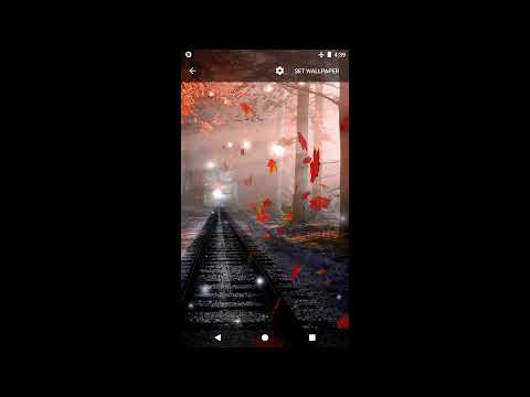 Autumn Live Wallpaper Video
