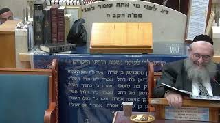 הרב יהושע ויזגן מסכת חולין דף לט עמוד ב' (בית הכנסת מוסאיוף) - התמונה מוצגת ישירות מתוך אתר האינטרנט יוטיוב. זכויות היוצרים בתמונה שייכות ליוצרה. קישור קרדיט למקור התוכן נמצא בתוך דף הסרטון