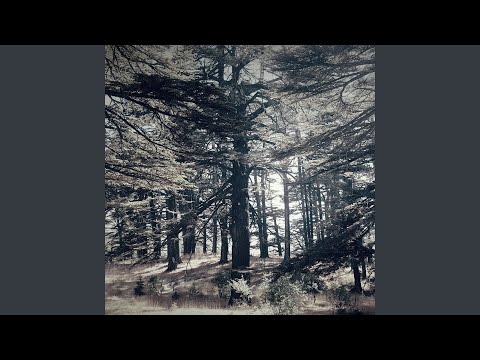 La Valse Des Cèdres