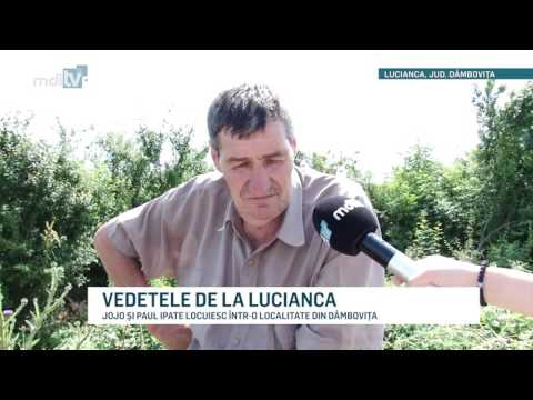 VEDETELE DE LA LUCIANCA