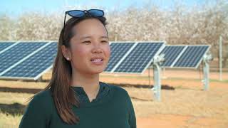 Bannerton Solar Park – integrating agriculture and solar generation Bannerton Solar Park – integrating agriculture and solar generation