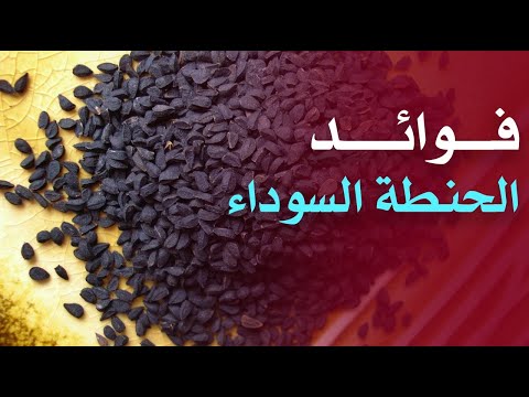 ما هي فوائد الحنطة السوداء ؟