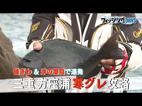 【フィッシングDAYS】#139 磯ぎわ＆沖の潮目で連発 三重方座浦 寒グレ攻略