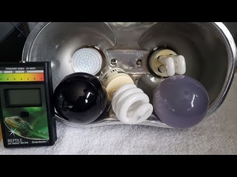 YouTube video about: Are led lights safe for reptiles?