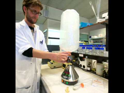 Mindz Indigo - Connoisseur - Prod by Wayvee