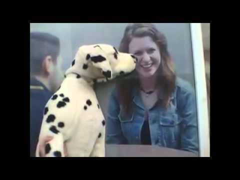 Dog is Dead- Lion Cub (Official Video)