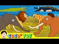 25min Mammoth Smilodon S Wonder Time Travel 1 3ㅣcenozoic Animals Cartoon For KidsㅣCoCosToy