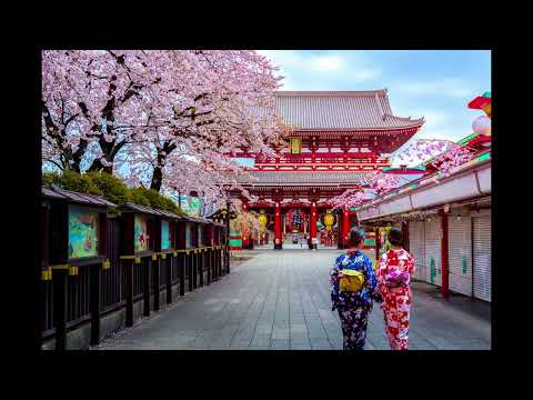 Smooth Asian flute trap type beat| melodic