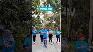 Download lagu Pamer Bojo //senam kreasi //short mp3