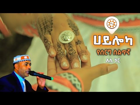 Ethiopia: አሊ ኑር "ሀይሎካ" የሰርግ ስልጥኛ | Ali Nur "Hayloka" Ethiopian Siltie Music