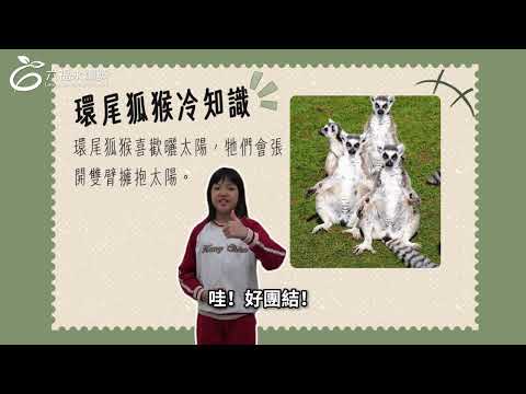  國小高年級中文組 潛力獎 -2025六福永續獎: 最佳人氣影片