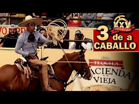 Tamaulipas - 3 of 3 Horseback Riding Manganas - 2022 THV Millionaire Championship