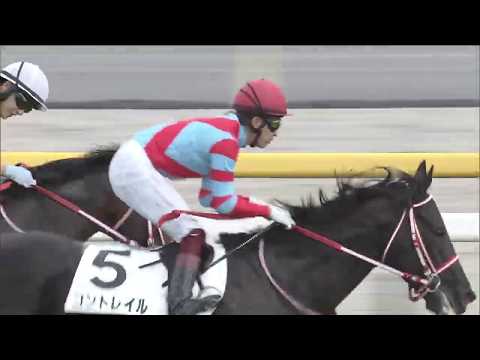 2020 Tokyo Yushun (Japanese Derby) (G1)