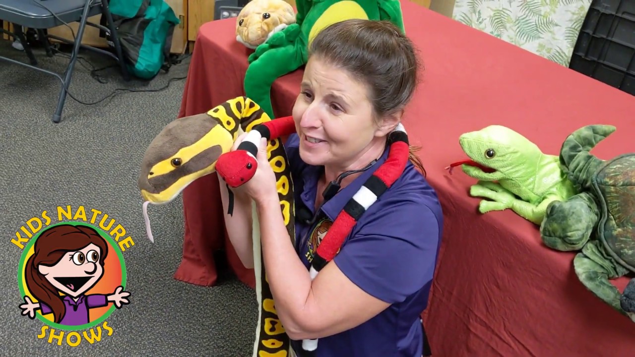 Promotional video thumbnail 2 for Kids Nature Shows LLC
