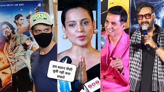 Bollywood Actors Crazy Reaction On Pathaan Movie And Mad For Shahrukh Khan After Watching Pathan
