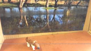 Crocodile roll John Williamson (up yours)