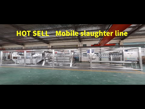 Mobiled and compact chicken slaughtering line 500BPH