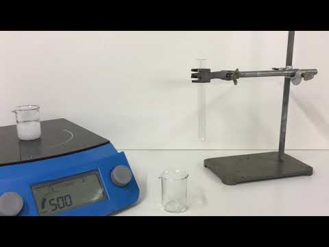 Nachweis von Stärke (Lugol'sche Lösung)