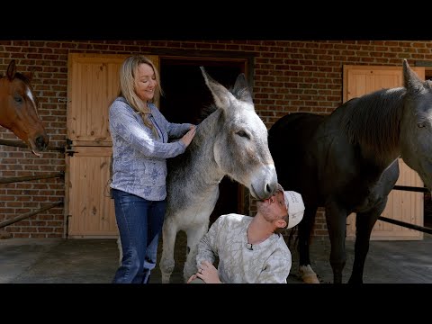 I Hired An Animal Communicator To Tell Me What My Animals Think About Me | Matt Mathews