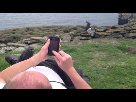 Behind-scenes footage of Puffin Photography, Noss