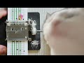 Black Metal On A Music Box Carillon Transilvanian Hunger