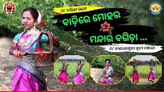 Badire Mohara Mandara Bagicha | Maa Tarini Bhajan Dance | Manasi Patra | MBKNM
